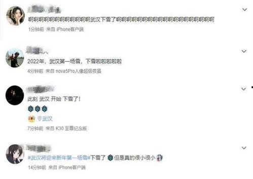 湖北网友爆料视频最新,惊人一幕，视频揭露惊人真相！